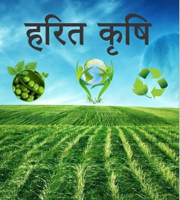 कैम्पा के तहत हरियाणा में 298 करोड़ की हरित योजना मंजूर