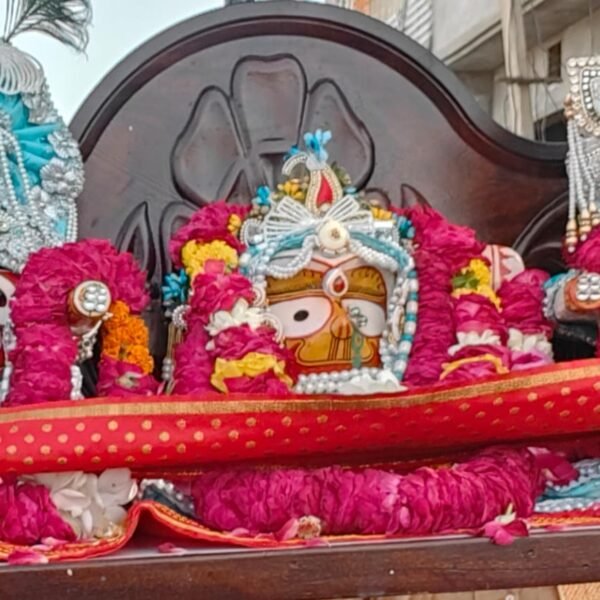 ऐलनाबाद में श्रद्धा और भक्ति का उमड़ा सैलाब